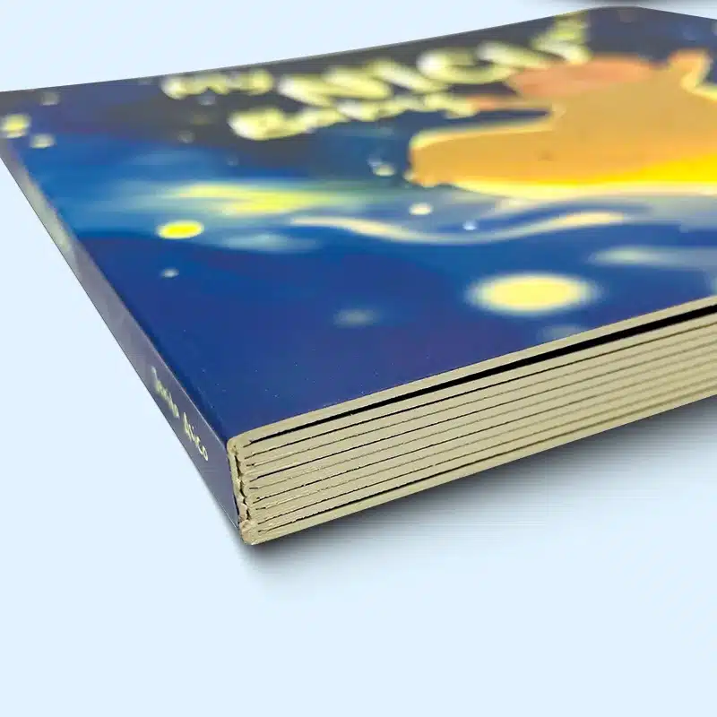 Blue illustrated board book showing thick layered pages